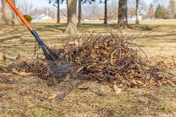 How Yard Trash Removal Improves Curb Appeal in Taunton, MA How Yard Trash Removal Improves Curb Appeal in Taunton, MA